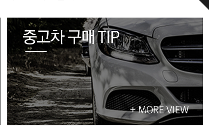 대구 경북 중고차판매매입 신정호   중고차 구매TIP